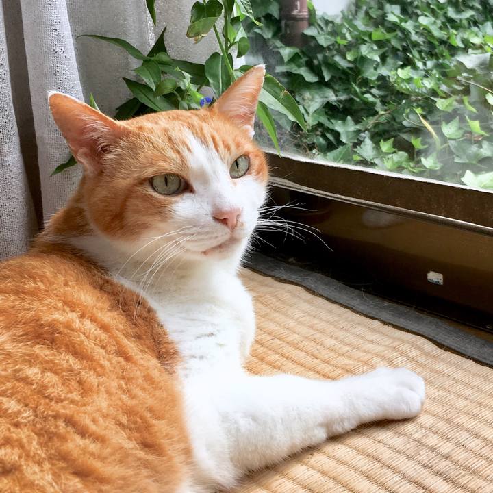 10f28bb8 b402 4096 9ea1 75752fcddd0c 1564036678183