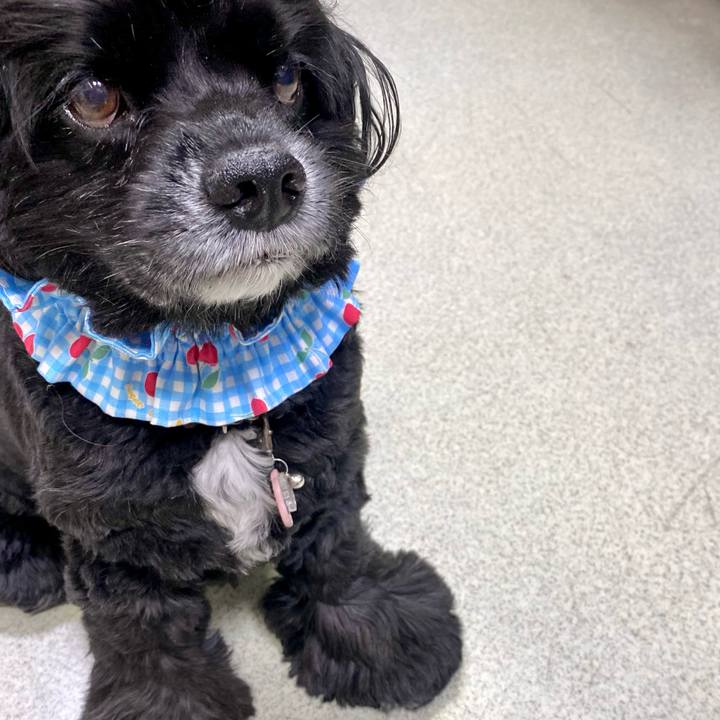 10f29acd 463d 4f31 97fa b4ef21950ab8 1695996959532