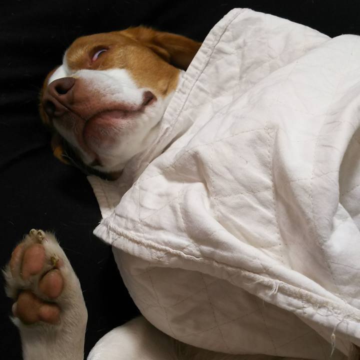 10f29b3f d813 4141 9ca5 a103caa9f907 1584879583667