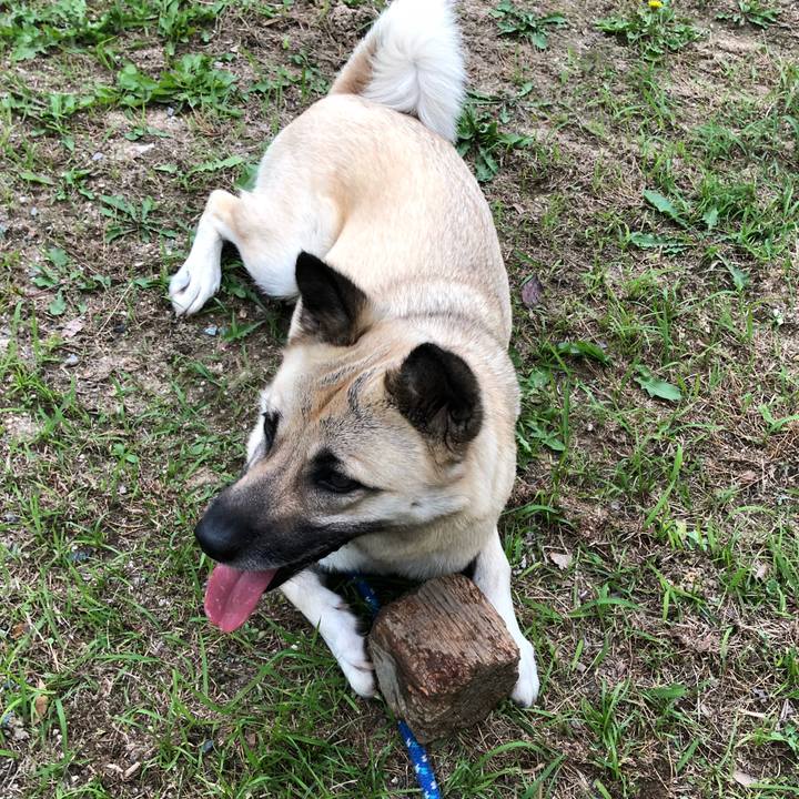 10f2b674 6e75 447e a97b 302e063c3be3 1527505618829