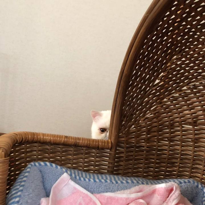 10f2bdf7 ee8a 4667 ac7a 7c8364698782 1558756510857