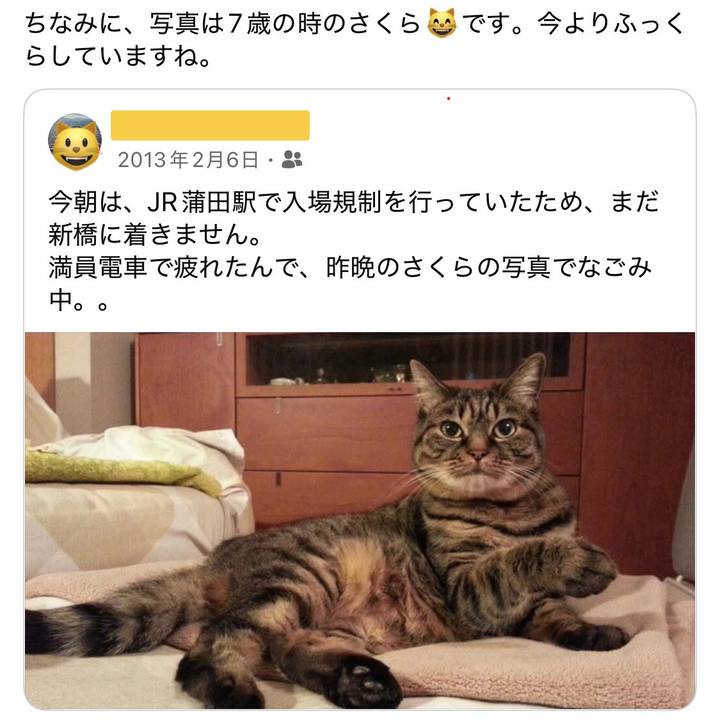 10f2cb15 a09d 4fd5 aaa3 4a525aa7661a 1770335072522