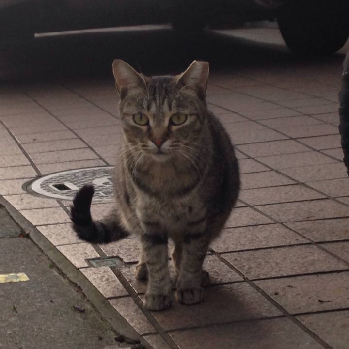 10f2ce66 87c3 4948 96b0 3ccd18f0c21b 1509108038492