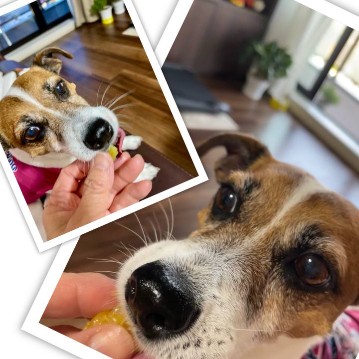 10f2f94d 669e 46c8 b41d 0cd3a307567c 1747130779985