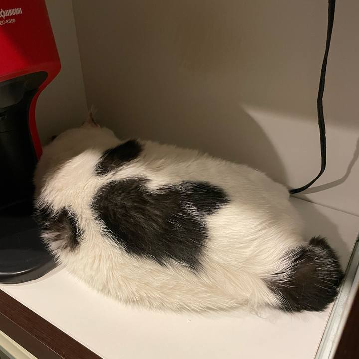 10f30842 45b2 450d 9d5a e6846d8c8d24 1661384296476