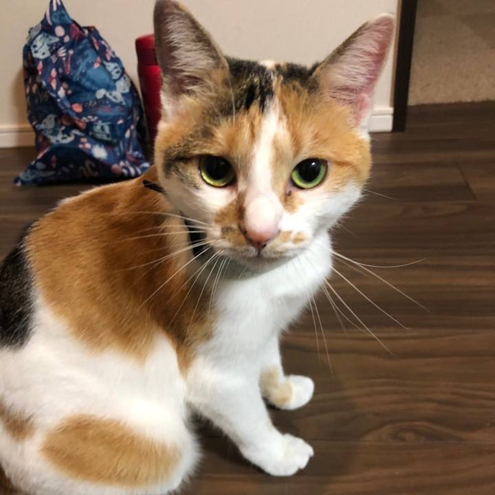 10f33f60 4241 4216 8661 333257ade911 1665848880485