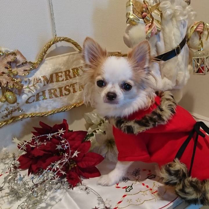 10f3680c b077 45c7 8834 67fbf79af2aa 1541068012582