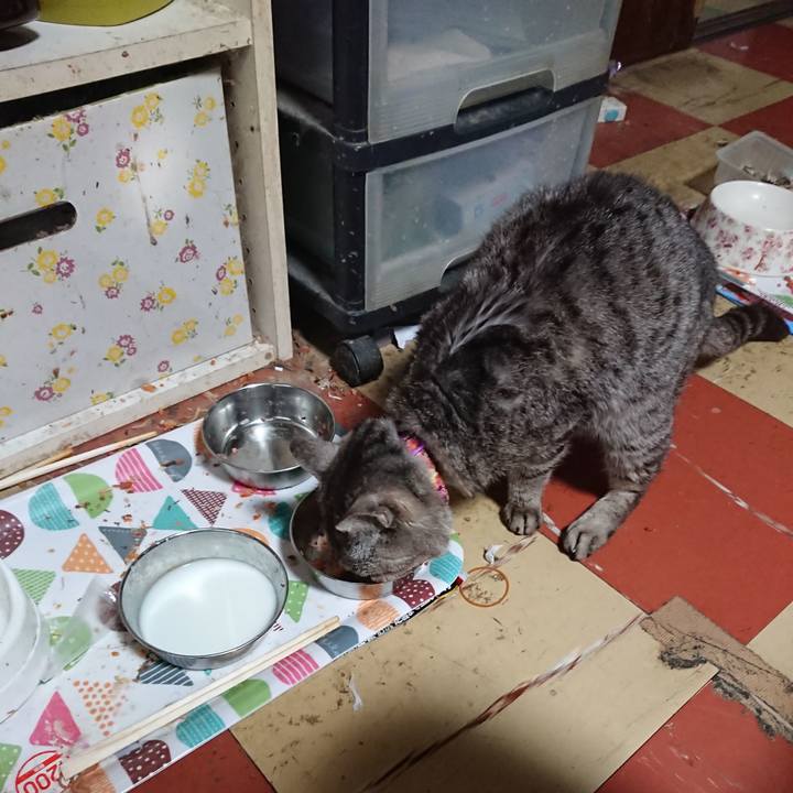 10f3810c a3ae 49d3 a408 06bc67f4b8c6 1588929653210