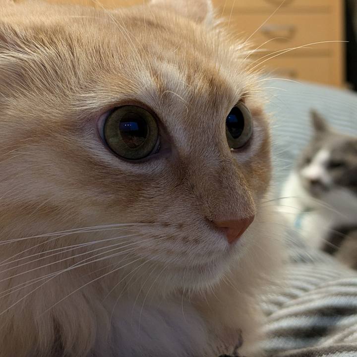 10f38852 a69d 4824 9976 570687c17a66 1730533854276