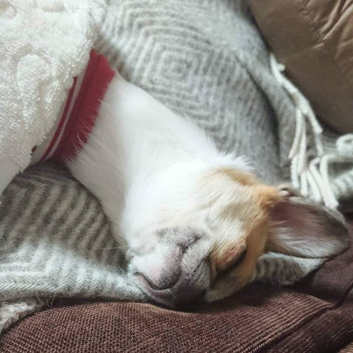 10f3bf86 5ea5 47fd ac03 7face185c57e 1702463111300