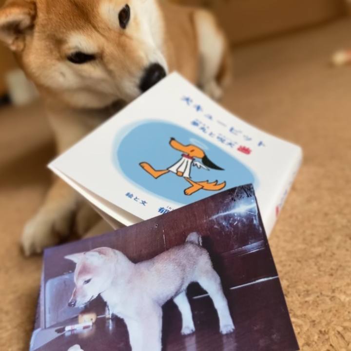 10f413fa 267c 417a 98af 792819baaa73 1648014835905