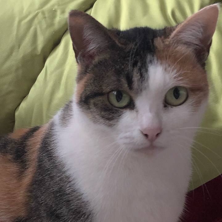 10f43ccf b424 4bdb 970c ee3f9f0674bf 1580381427293