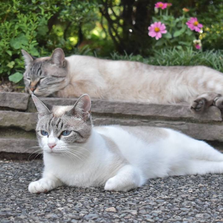 10f44aa7 c405 4005 9025 7b502a2fe6fe 1529049254739