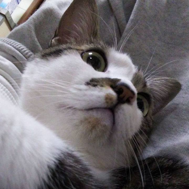 10f46943 393c 4c73 b88a d3f86978385b 1646610550099