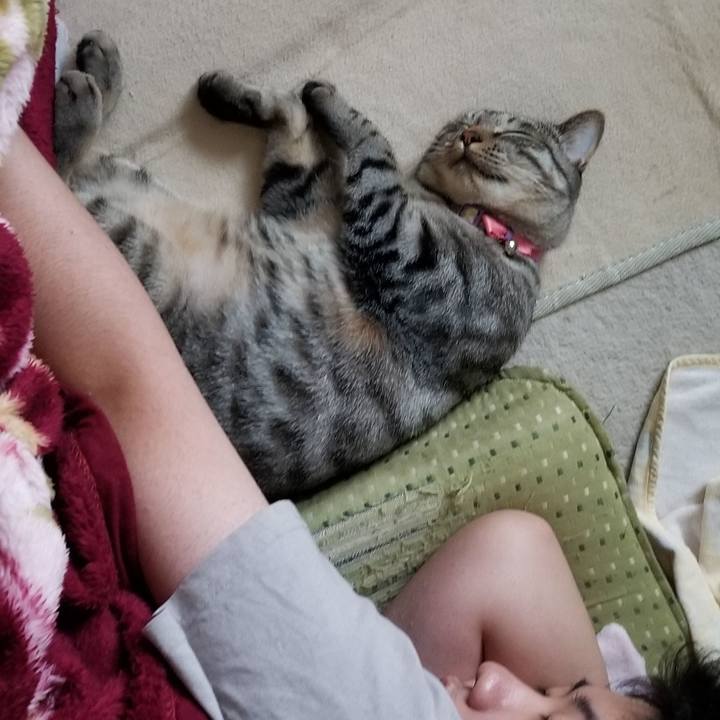 10f47af4 07fc 472e 9082 6d5ea6267278 1685455335878