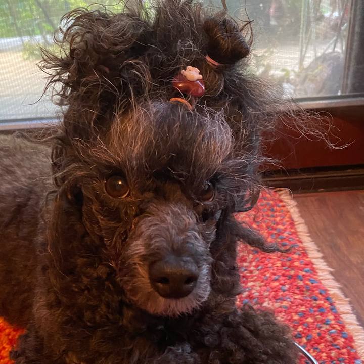 10f4803c 3dc2 4262 80bb 24ae0f504eea 1691362750308