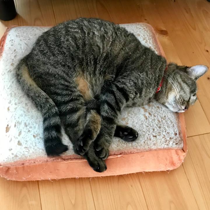 10f48bba c49a 4500 8574 9c8172ecf5b0 1567043264723