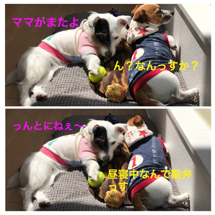 10f4baba 7b03 42f4 9415 87ffdd41e164 1520995116248