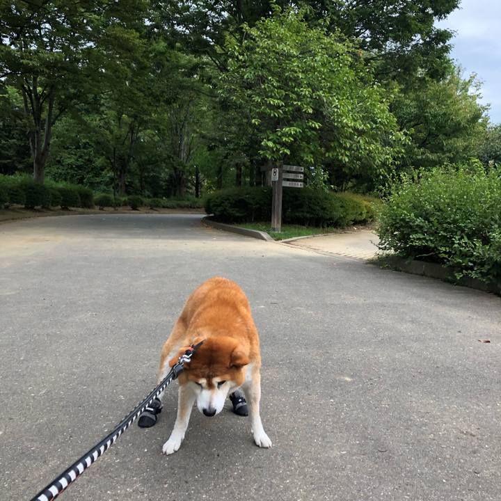 10f4f5d3 9c29 4059 b9c3 028c4ec55ee2 1600926636501