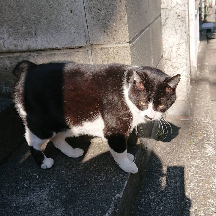 10f51456 587e 4445 be7b b458361ccf1c 1547349976685