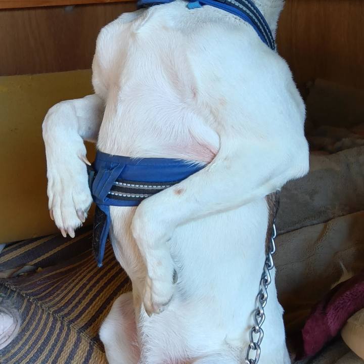 10f51dd1 854b 4434 9e38 c0275aab4ca9 1746451416510