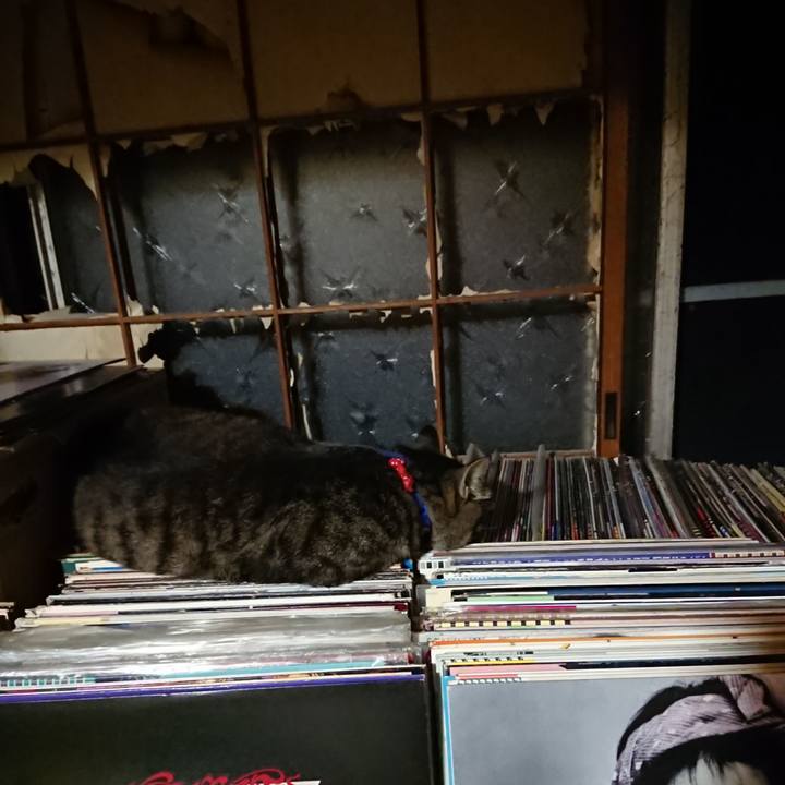 10f5293b f8b1 48f3 98c0 e0397569b156 1656936731005