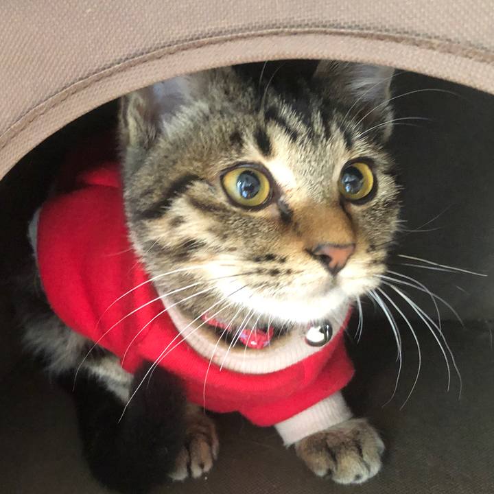 10f52cad 1315 45eb 902c 8ee06296a929 1730585566115