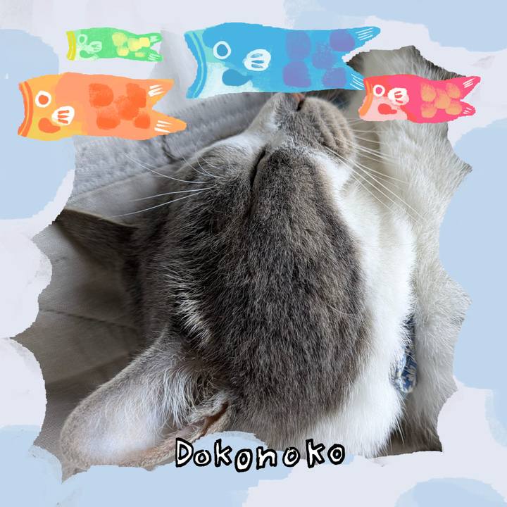 10f5aa6e 744c 497a a084 98b1512767b0 1749170793114