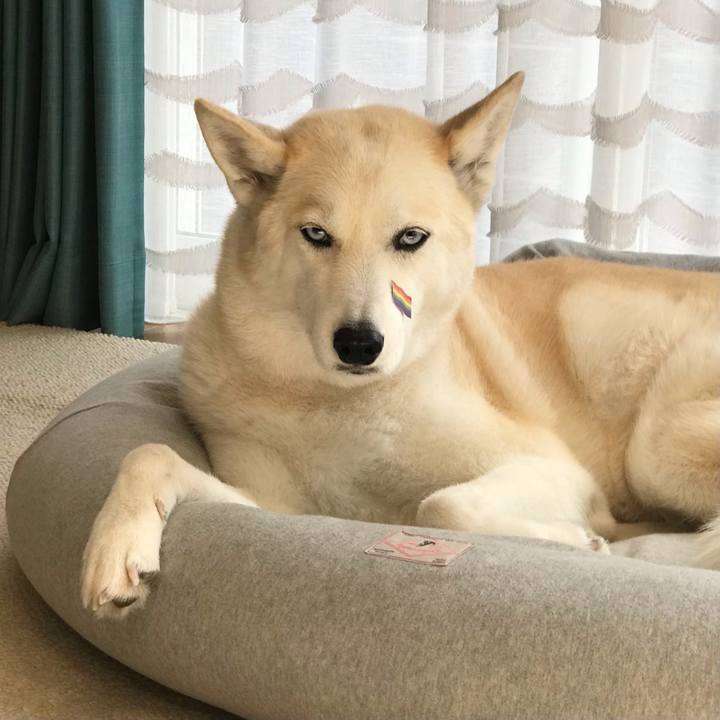 10f5d7f0 24c9 4c94 b8a9 6c6190106db0 1682238667737