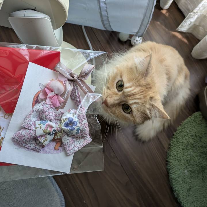 10f6008e 7571 4b8c b84b 0457daa6e828 1748409183204