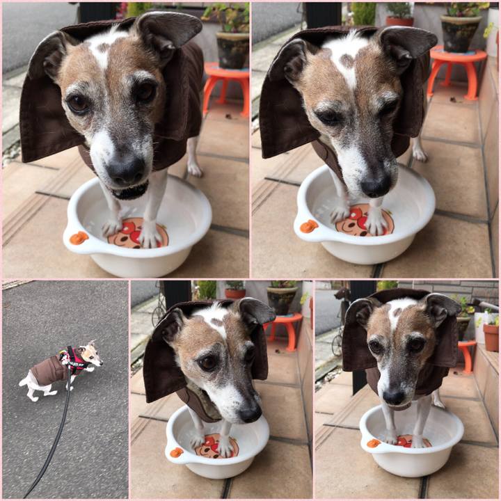 10f650a1 5329 47e4 a3ba f1aa2a8a1031 1515304379709