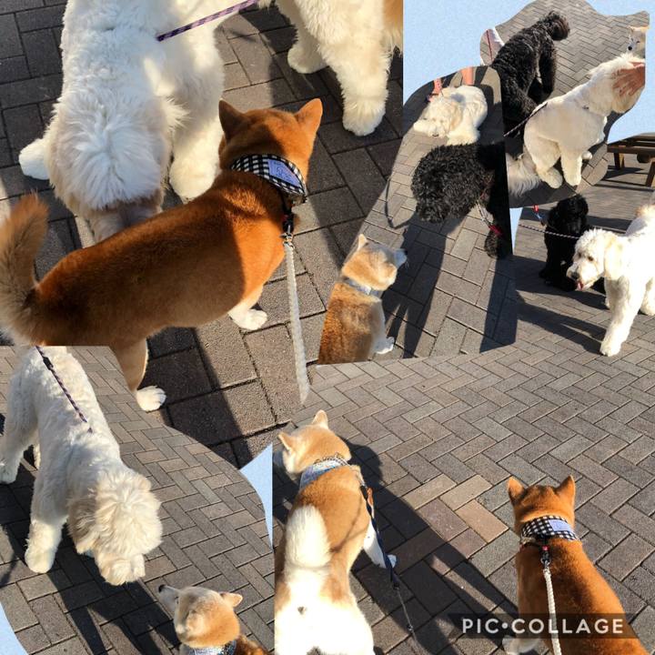 10f6528a bd3f 4f04 91db 30388b2e58d3 1569568447870