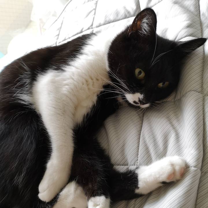 10f6983a 7fb1 4216 b514 1f6ed2cf325e 1570682374878