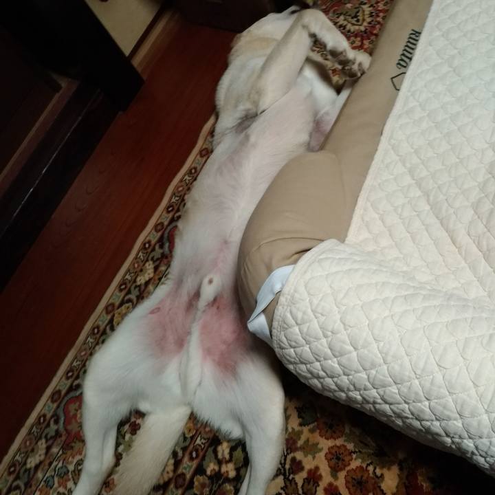 10f70b49 4b75 45b2 8a1c 3671804bf4e3 1624521594994