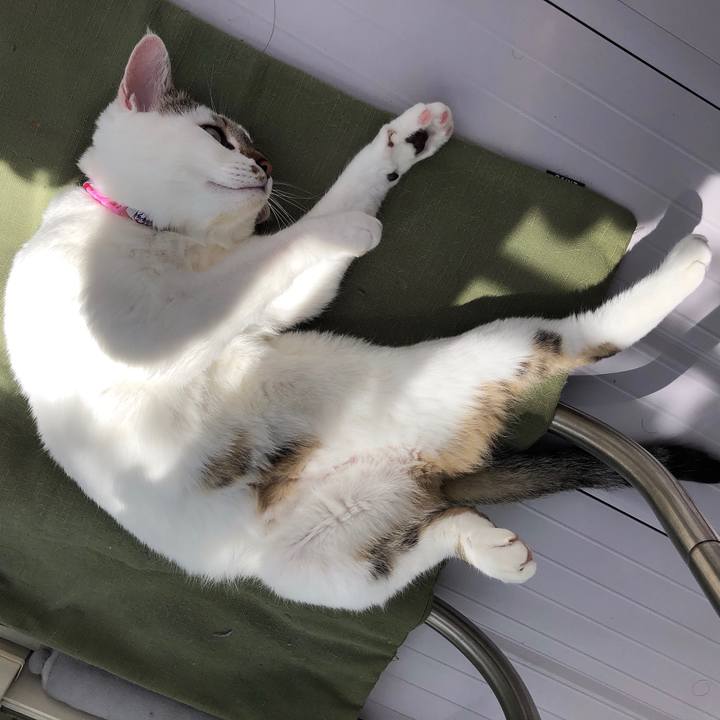 10f74e75 3ddb 4322 8feb 73ce58fd55cb 1556852923703