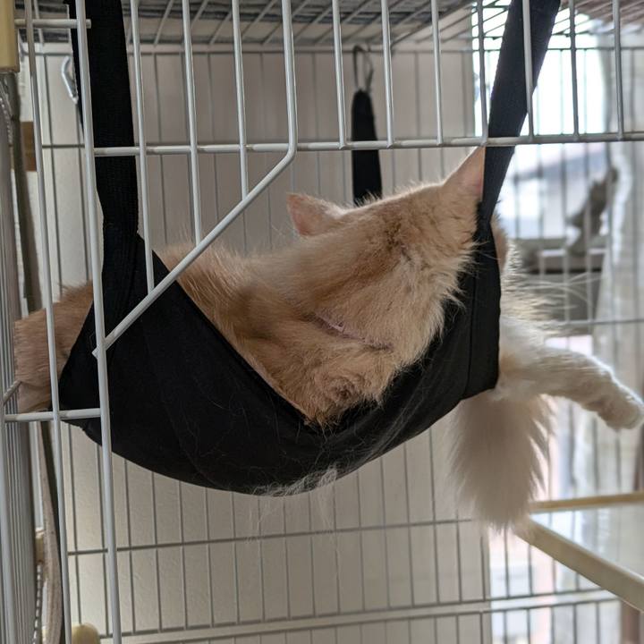 10f7d6bc 1bf0 4b6e beec e192c97c3e54 1726806659019