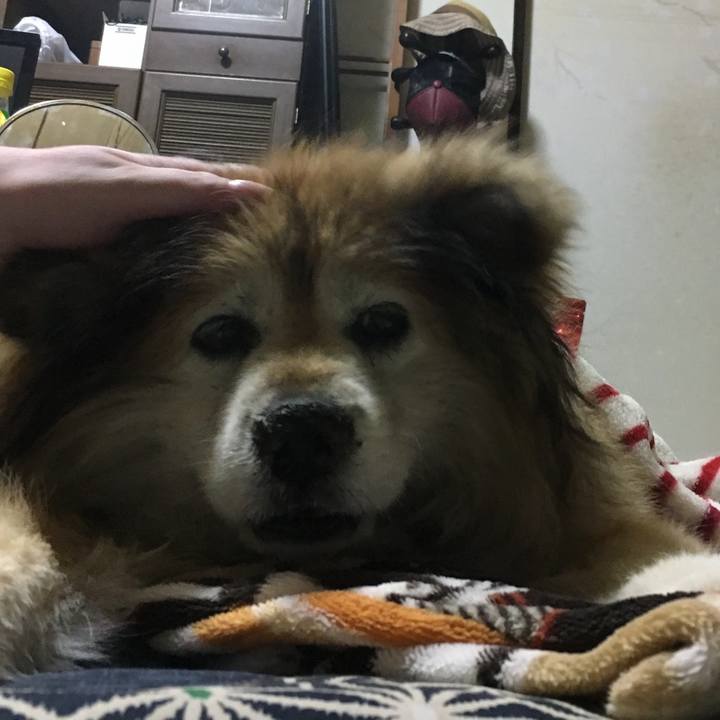 10f80b74 21b9 4414 a69d c25566c9bbac 1626916240405