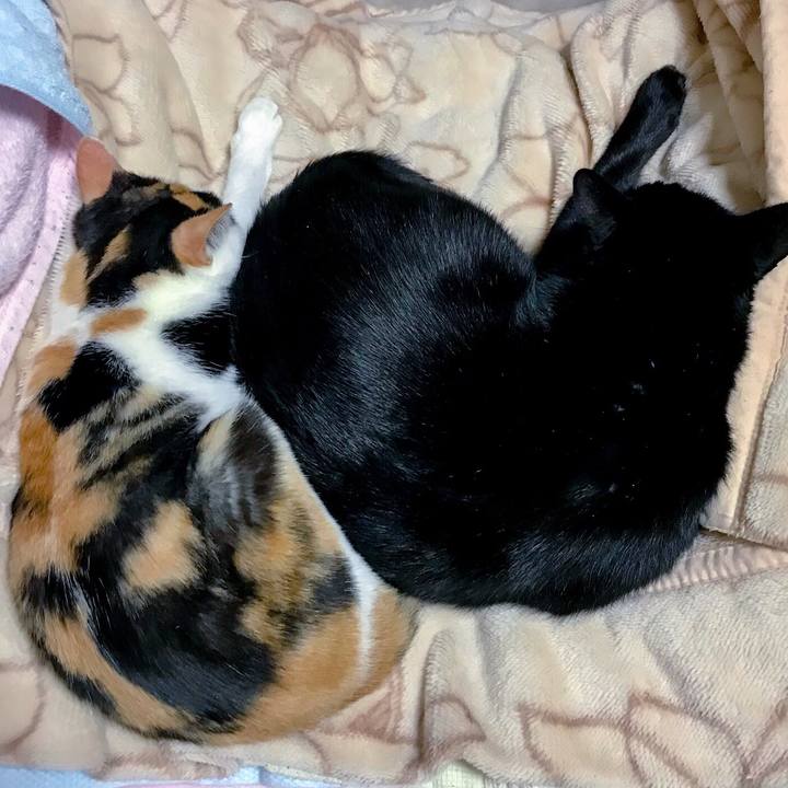 10f83427 82e6 4452 9ef6 92ed571256b8 1509382321043