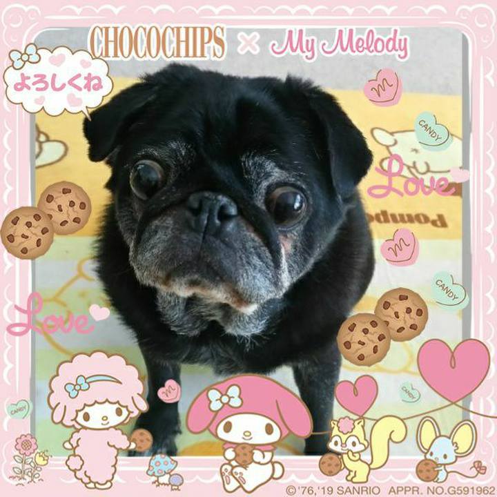 10f877ab 82c6 4eb8 9c28 2f5c52d8415e 1559048388547