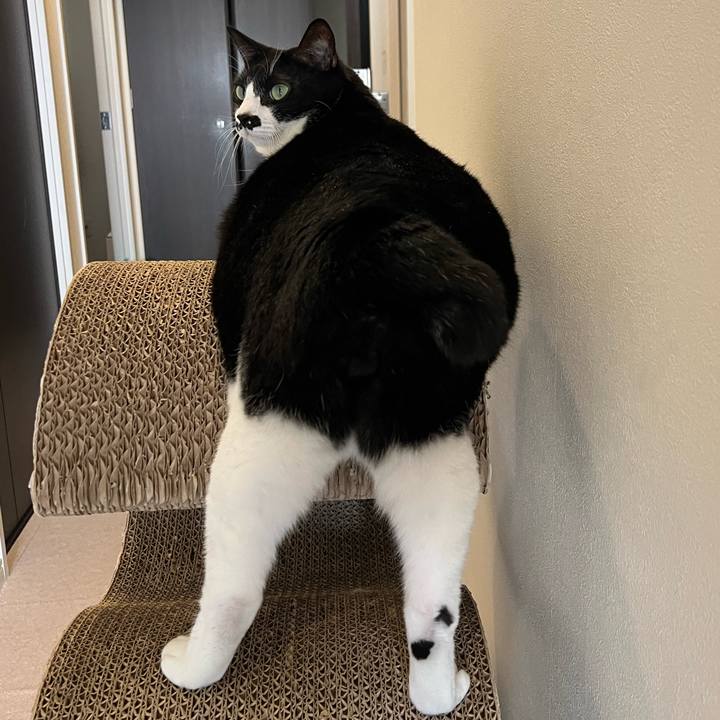 10f89082 6c7c 4c12 9183 2347a3cb2a50 1762123696666