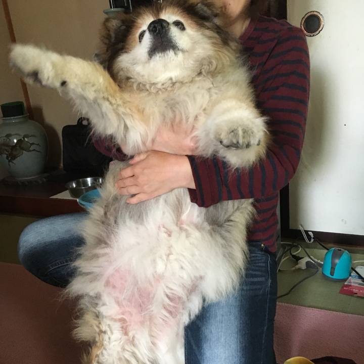 10f8a28d 934f 4f5a a9b9 c1b399ddd671 1570796145612