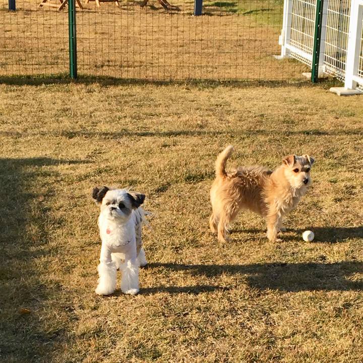 10f8c183 3631 4e3a a9a1 5764254a4e68 1510221251030