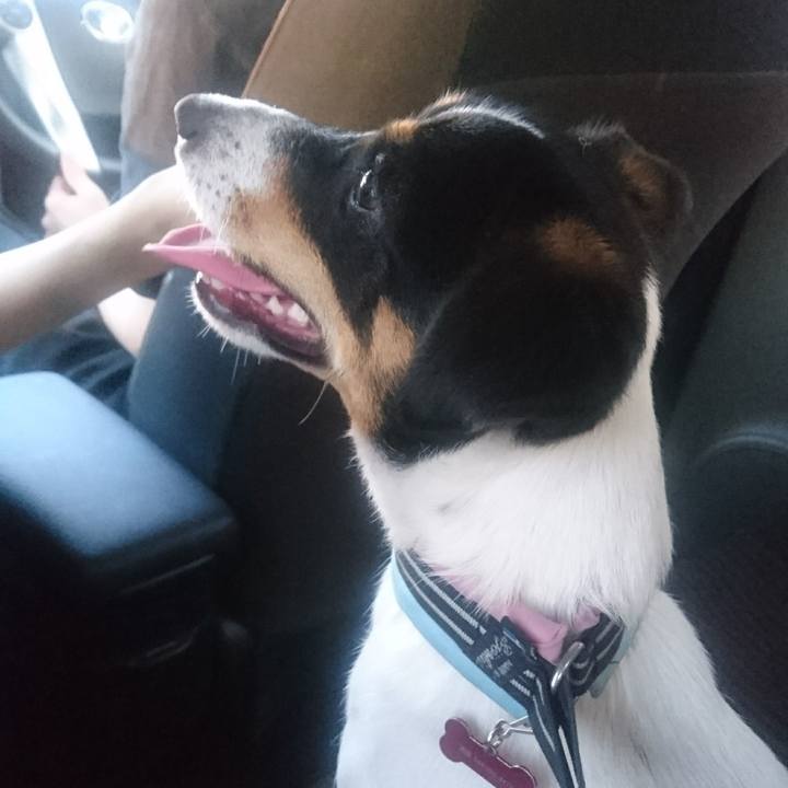 10f92a77 a79c 4cba 993a 3adc6505309a 1531697397694