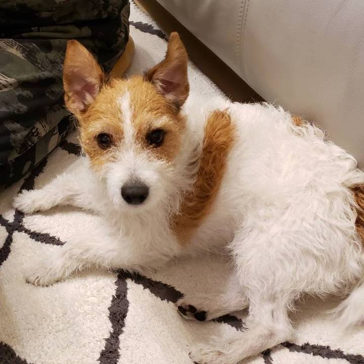 10f931b6 521b 4db1 b2dc ecfe36a01b8c 1650076817084