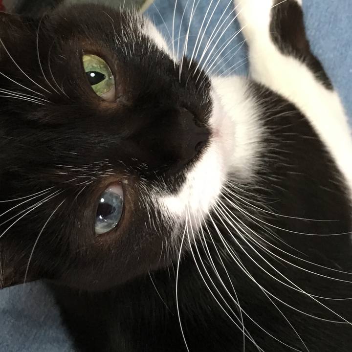 10f938be c048 4ea2 8f8f 08f133e8ba8d 1541853877959