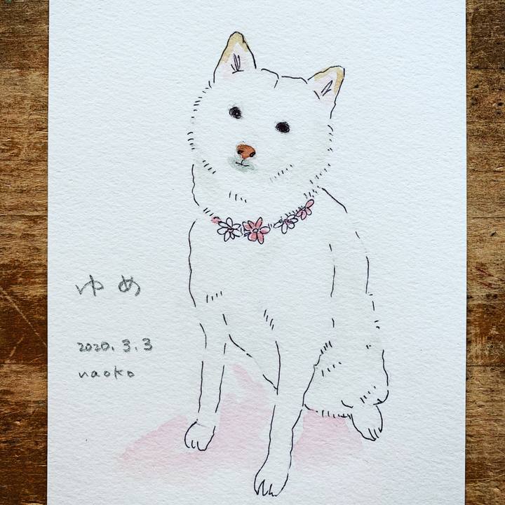 10f94b79 bb06 404a 9421 20acfec8f507 1583200795121