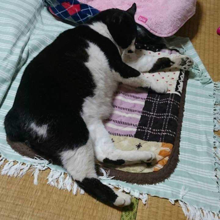 10f96188 4080 46c8 bc0b abb604b4fe85 1524217361506