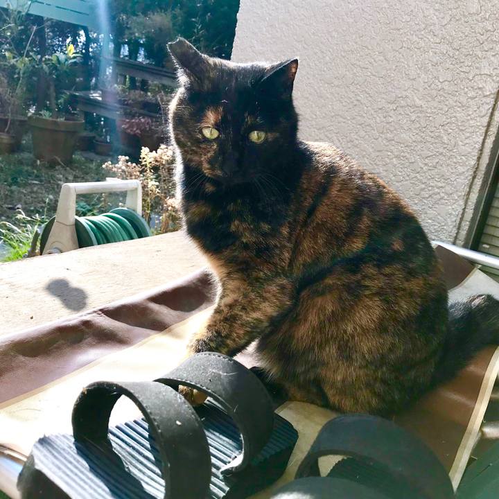 10f9999c 1519 4e65 9c3a e0a34ef95551 1513929081353