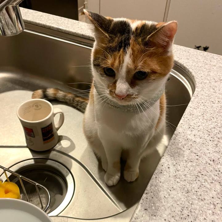 10fa197b 4b9b 47ae a8c3 8f03e793eece 1667828553050