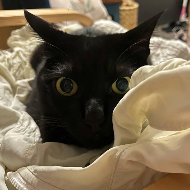 10fa339d b7aa 471b aaf9 3df688b0a4bd 1761219581188